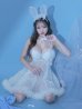 画像7: 【予約商品/12月上旬-12月中旬入荷予定】【Deco Lingerie/ デコランジェリー】 Deco Lingerie Babydoll 04/ ランジェリー/ 4点セット[OF02C]