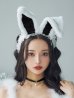 画像15: 【即日発送！】【ハロウィン】 ファーキャミレースバニーガール 【コスプレ6点セット】 【XS-Mサイズ/2カラー】[OF03]