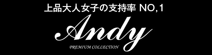 Andyセール