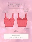 画像18: 【予約商品/12月上旬発送予定】【Deco Lingerie/ デコランジェリー】 Deco Lingerie 11/ ランジェリー/ 4点セット[OF02C] (18)