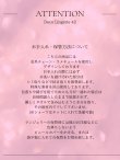 画像12: 【Deco Lingerie/ デコランジェリー】 Deco Lingerie42/ ランジェリー/ 4点セット[OF02C] (12)