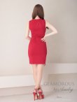 画像14: 【GLAMOROUS ANDY Fashion Press 12 COLLECTION 05】ワンカラー/ ノースリーブ/ バストカット/ セクシー/ シアー/ タイト/ ミニドレス/ キャバドレス[OF05] (14)