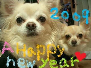 ☆Happy☆new☆year(^▽^)ノ☆