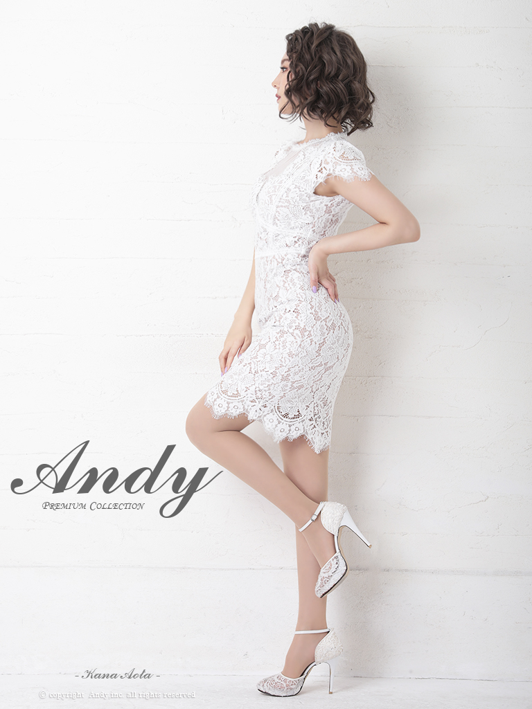Andy ANDY Fashion Press 11 COLLECTION 09】フラワーレース/ シアー 